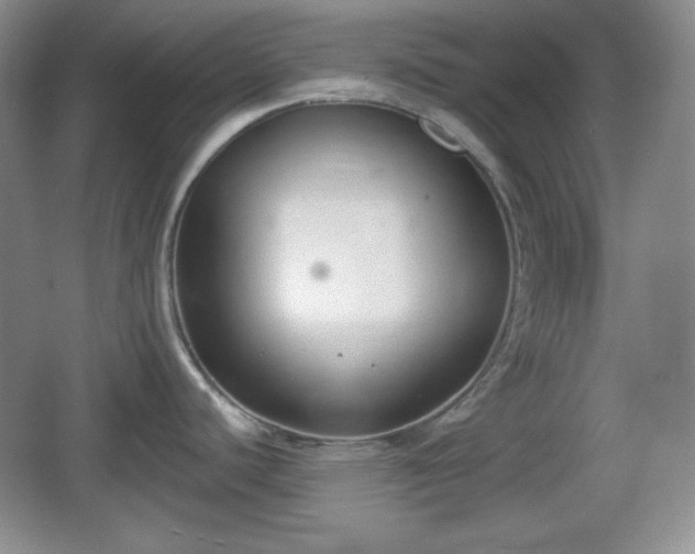 X0000067331440200604071314