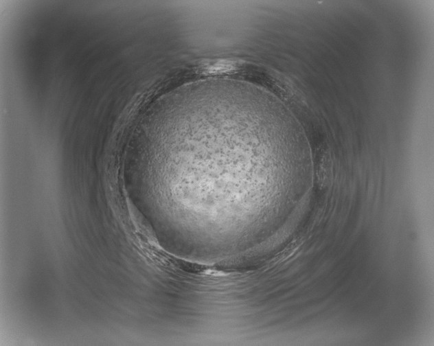 X0000067331441200604071313