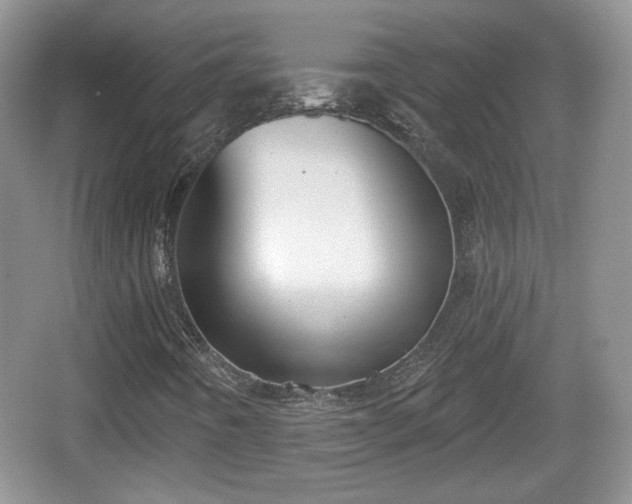 X0000067331442200604071313