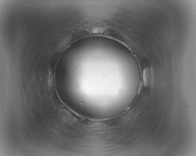 X0000067331443200604071313