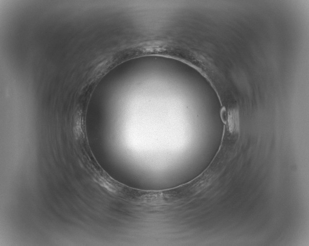 X0000067331444200604071313