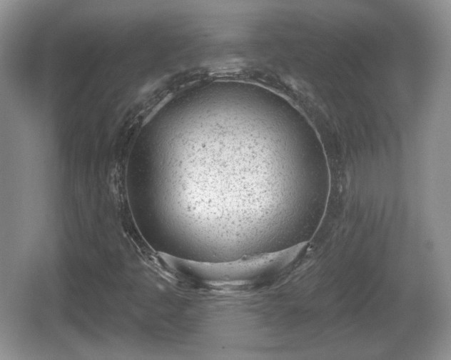 X0000067331445200604071313