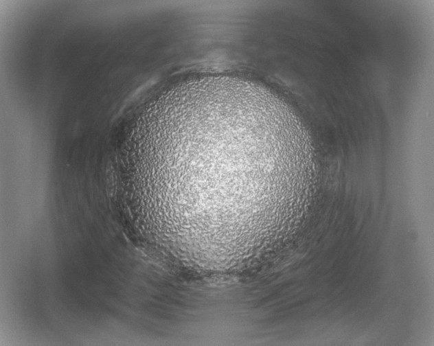 X0000067331446200604071313