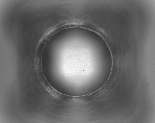 X0000067331448200604071313