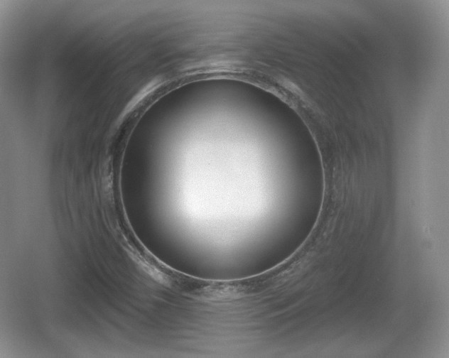 X0000067331450200604071313