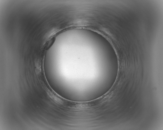 X0000067331451200604071313