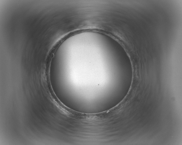 X0000067331452200604071313