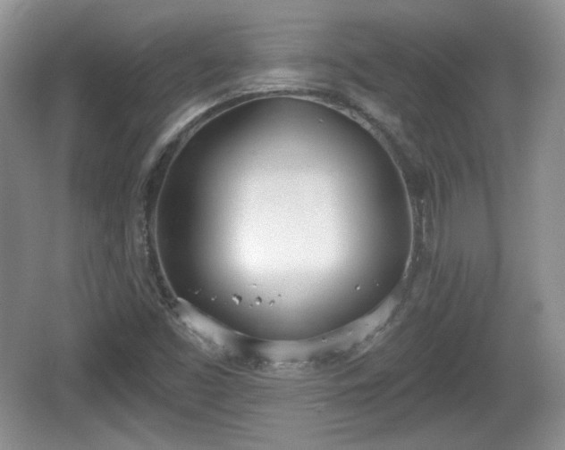 X0000067331453200604071313