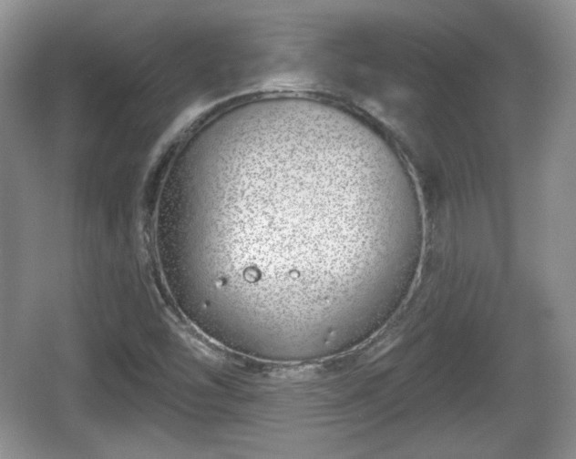 X0000067331454200604071313