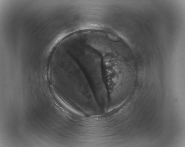 X0000067331455200604071313