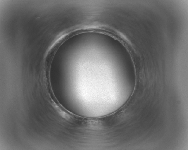 X0000067331456200604071313