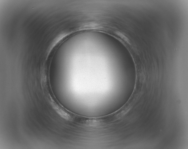 X0000067331458200604071313