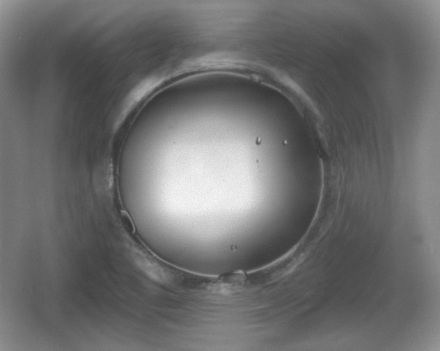 X0000067331461200604071313