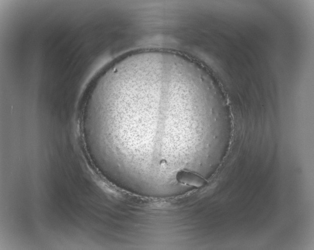 X0000067331462200604071313