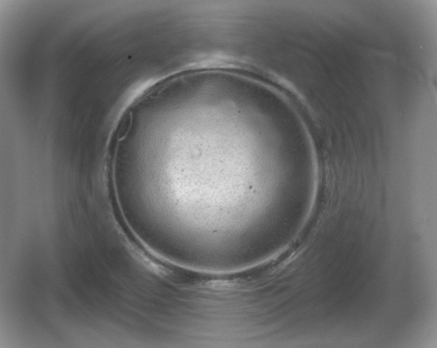 X0000067331463200604071313