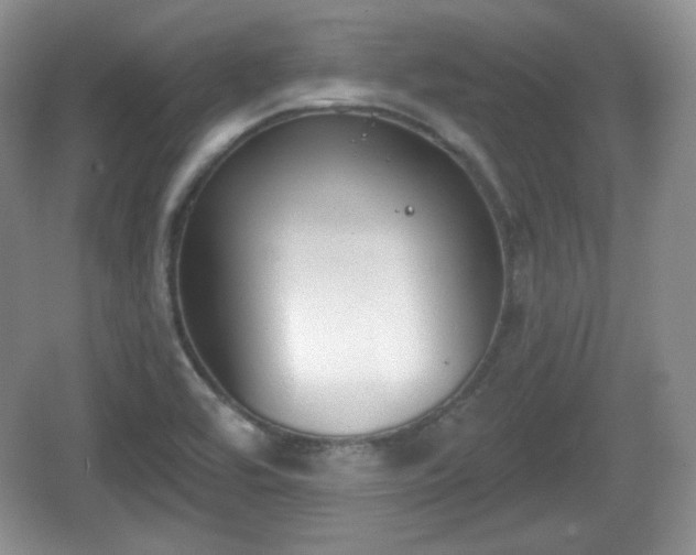 X0000067331464200604071312