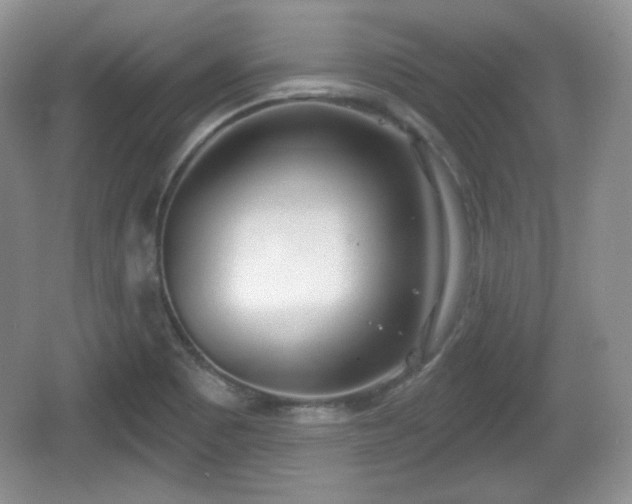 X0000067331465200604071312