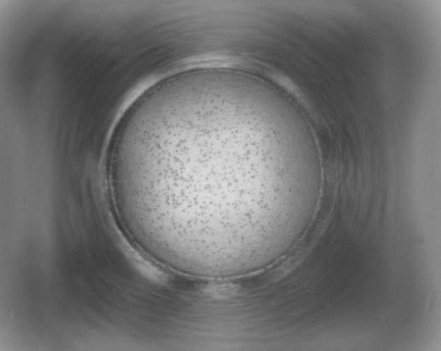 X0000067331466200604071312