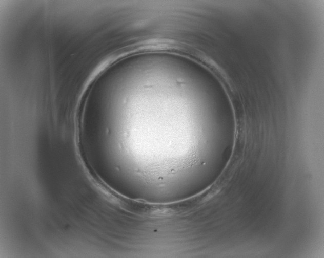 X0000067331467200604071312