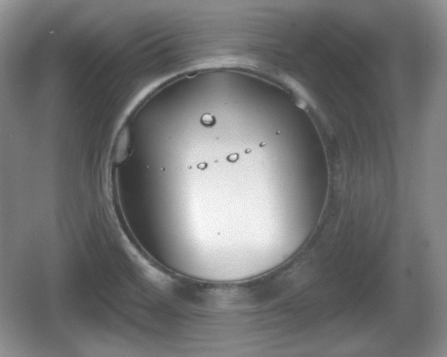 X0000067331468200604071312