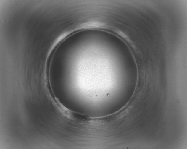 X0000067331469200604071312