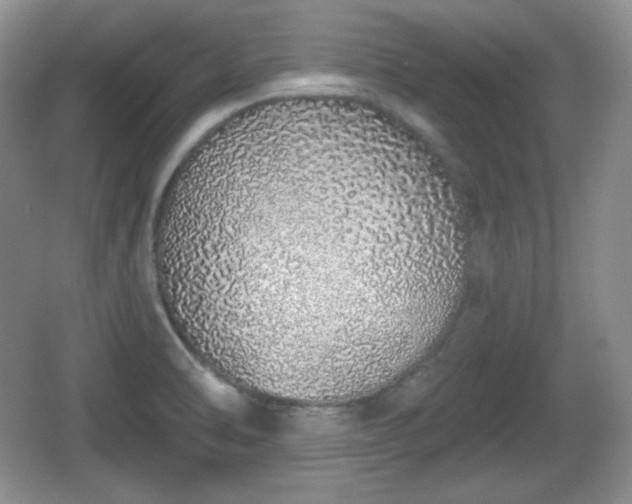 X0000067331470200604071312