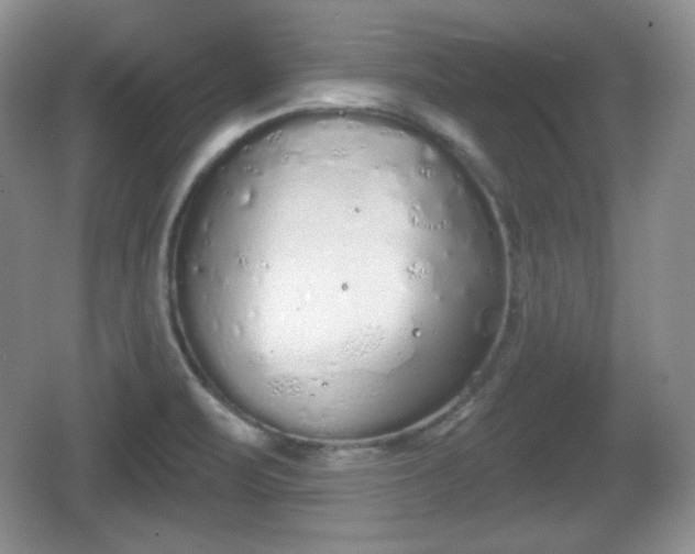 X0000067331471200604071312