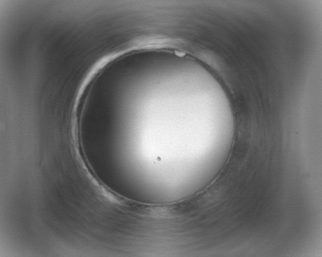 X0000067331472200604071312