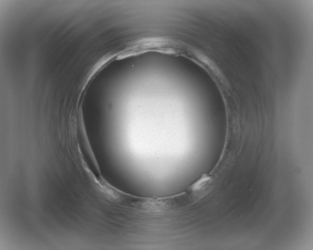 X0000067331473200604071312