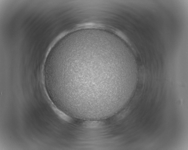 X0000067331474200604071312