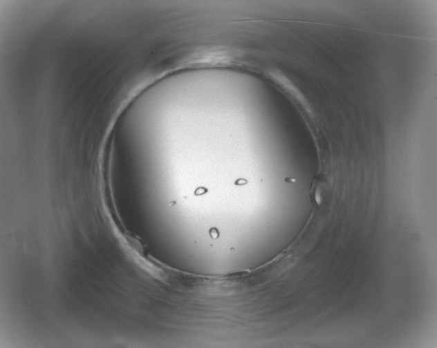 X0000067331475200604071312