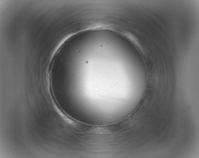 X0000067331476200604071312