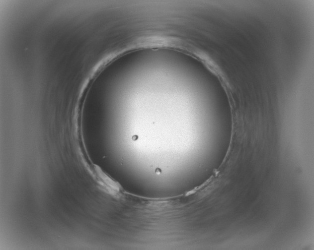 X0000067331477200604071312