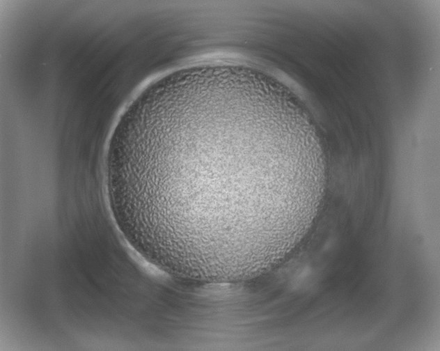 X0000067331478200604071312