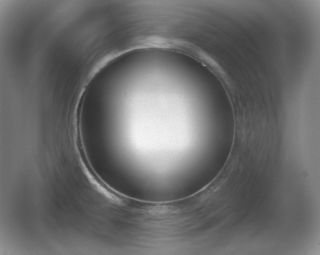 X0000067331479200604071312