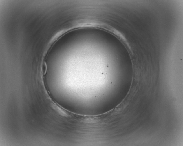 X0000067331480200604071312