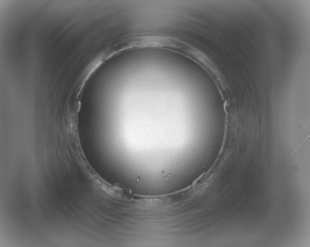 X0000067331481200604071312