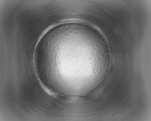 X0000067331482200604071312