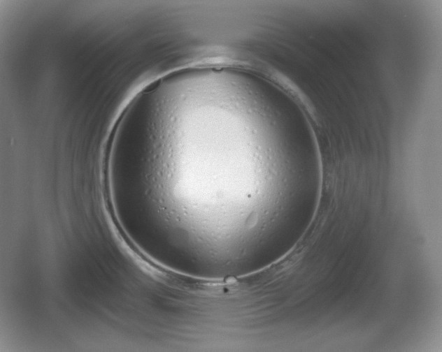 X0000067331483200604071312