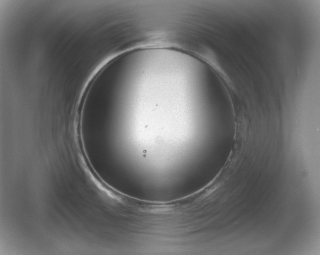 X0000067331484200604071312