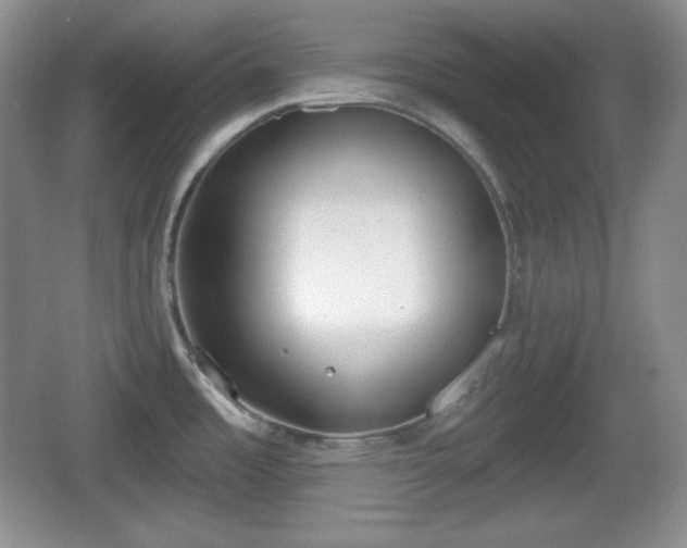 X0000067331485200604071312