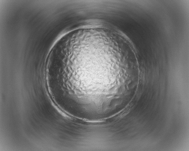 X0000067331487200604071312