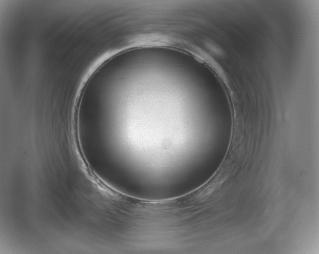 X0000067331488200604071312