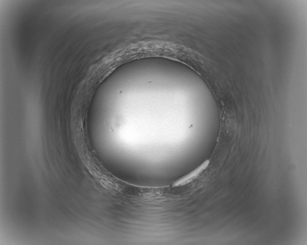 X0000067331489200604071311