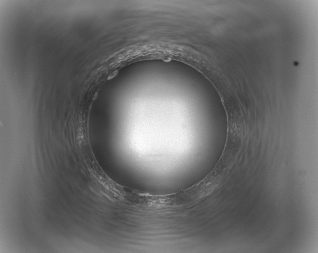 X0000067331490200604071311