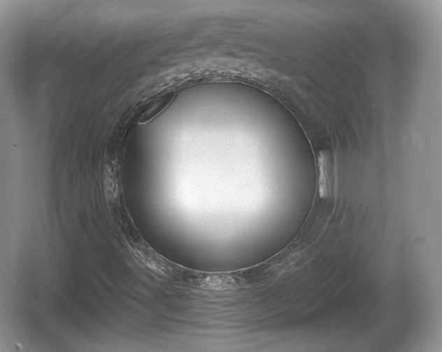 X0000067331491200604071311