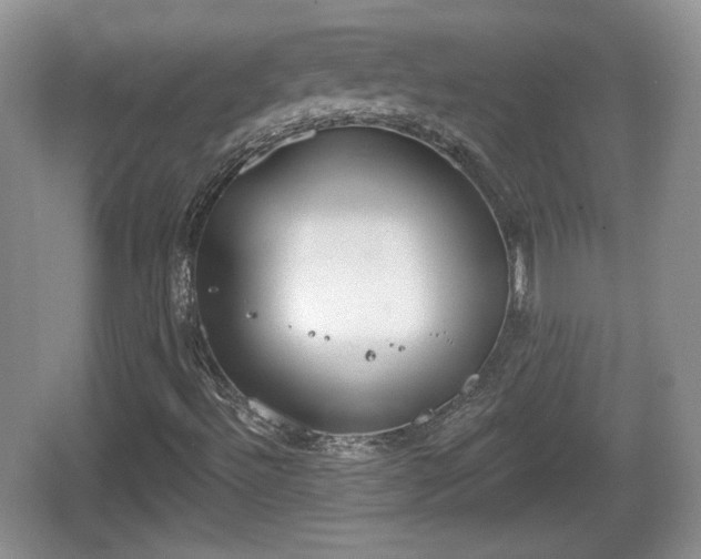 X0000067331492200604071311