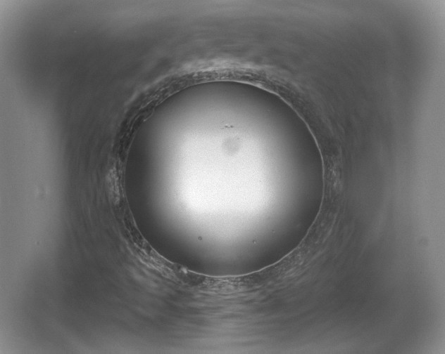 X0000067331493200604071311