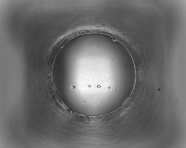 X0000067331494200604071311