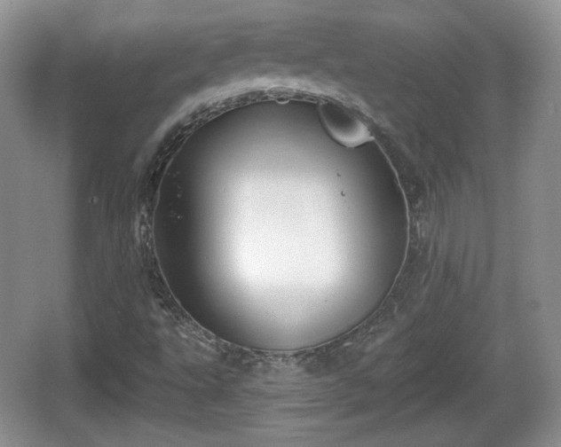 X0000067331495200604071311